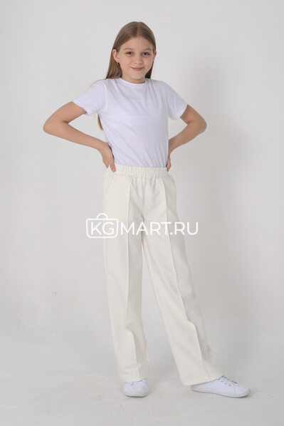 Брюки арт.303076