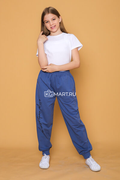 Спортивные брюки арт.305784